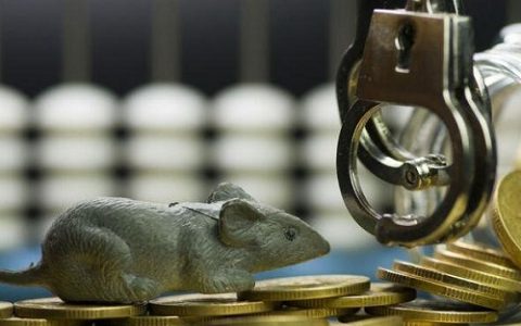 期货直播录像高清下载